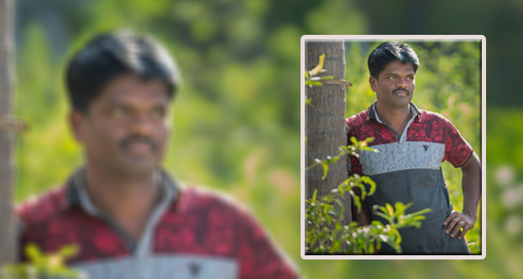 Paravai Bala